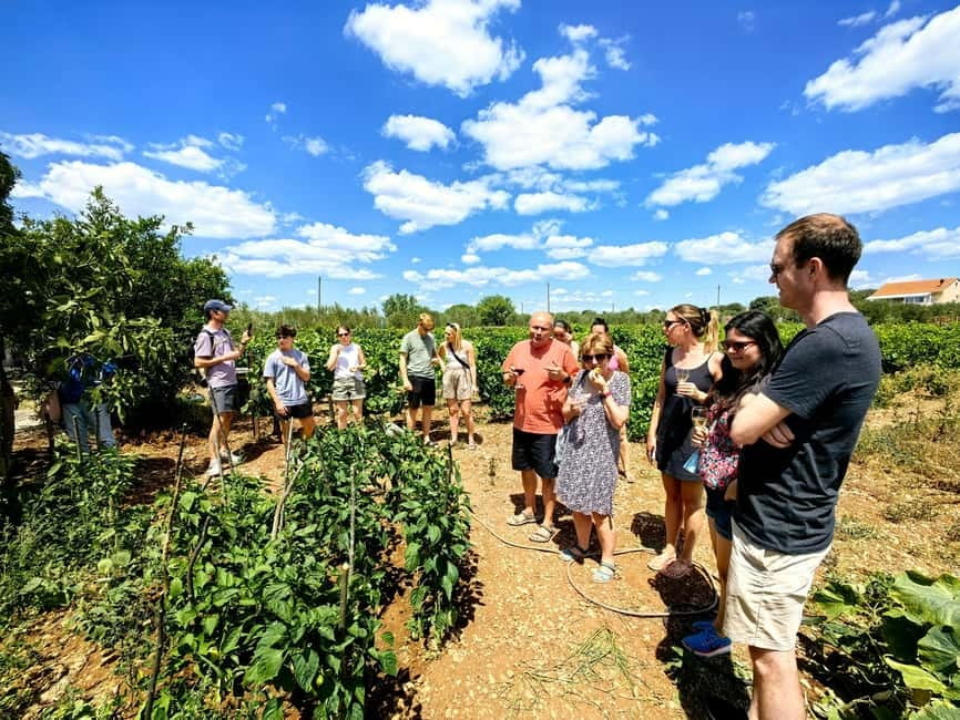 Krka waterfalls tour with lunch from Split - Who this tour suits best, and who should rethink it