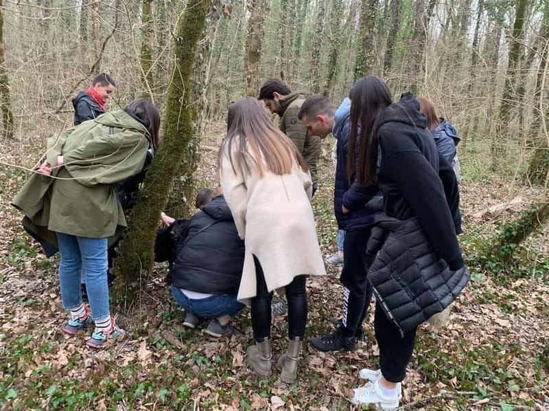 Livade: Guided Truffle Hunting Walking Tour - Motovun forest is the star, with dogs as your map