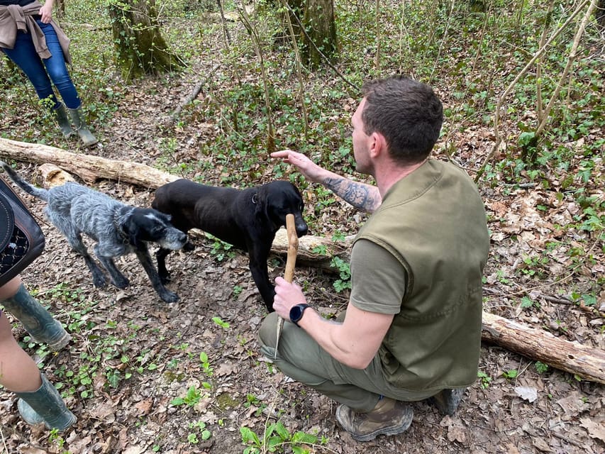 Livade: Guided Truffle Hunting Walking Tour - Watching Archie and Zora work: the dog training angle you can actually use