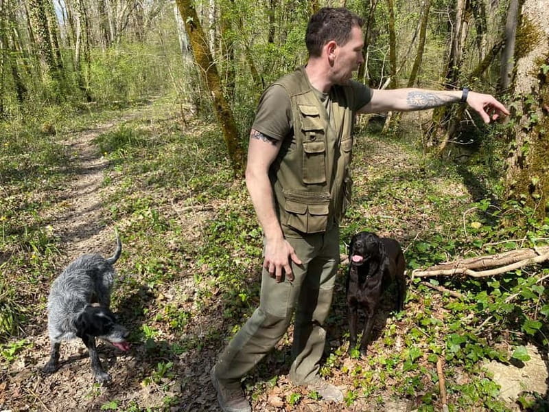 Livade: Guided Truffle Hunting Walking Tour - Price and value: what $58 gets you, and why it is not just a walk