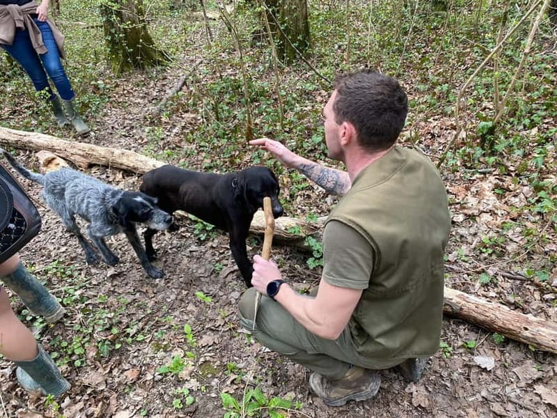 Livade: Guided Truffle Hunting Walking Tour - From meeting point in Livade to your first forest steps
