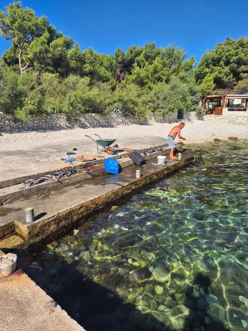 Magnific blue lagoon,speed boat towels included - Price and value: is $73 per person fair?