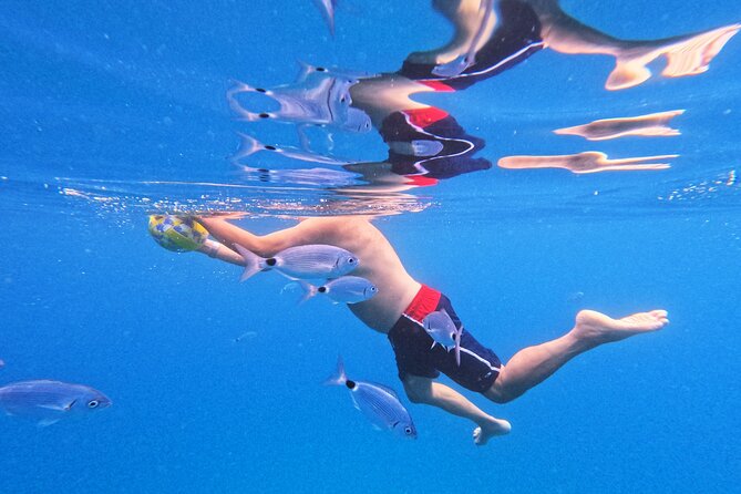 Makarska: 3-Island Speedboat Tour with Cave and Blue Lagoon - Boat ride comfort and the crew factor