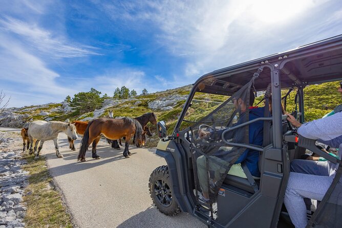 Makarska: Baggy Skywalk & Biokovo Viewpoint Tour - The buggy ride: more than transport to the top