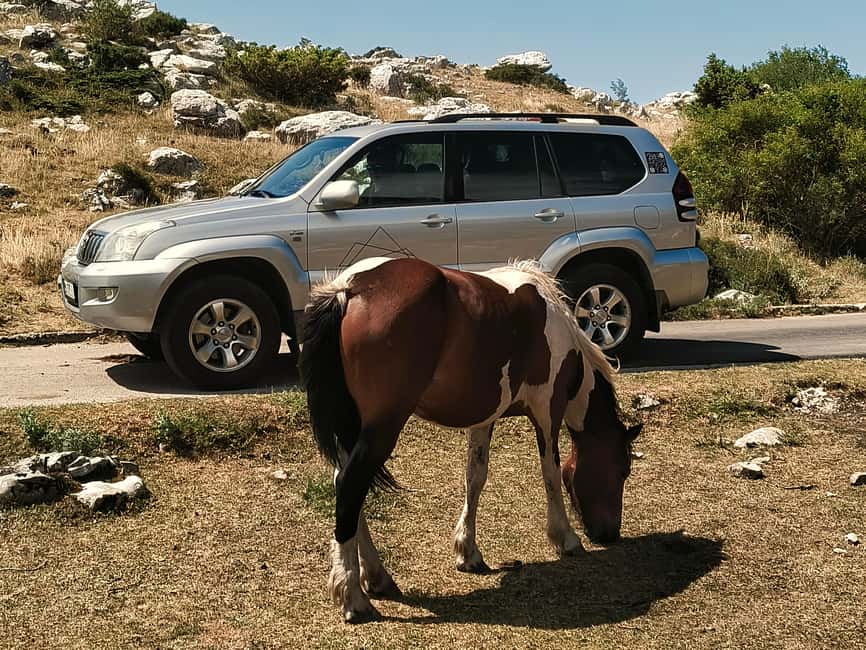 Makarska: Biokovo Skywalk 4X4 Tour - Ultimate Mountain Views - Who this tour suits best, and who should think twice