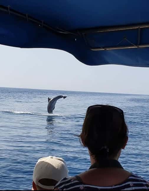 Molat Island Dolphin Watching Boat Tour 6hours TOUR - First impressions in Privlaka, then straight to open water
