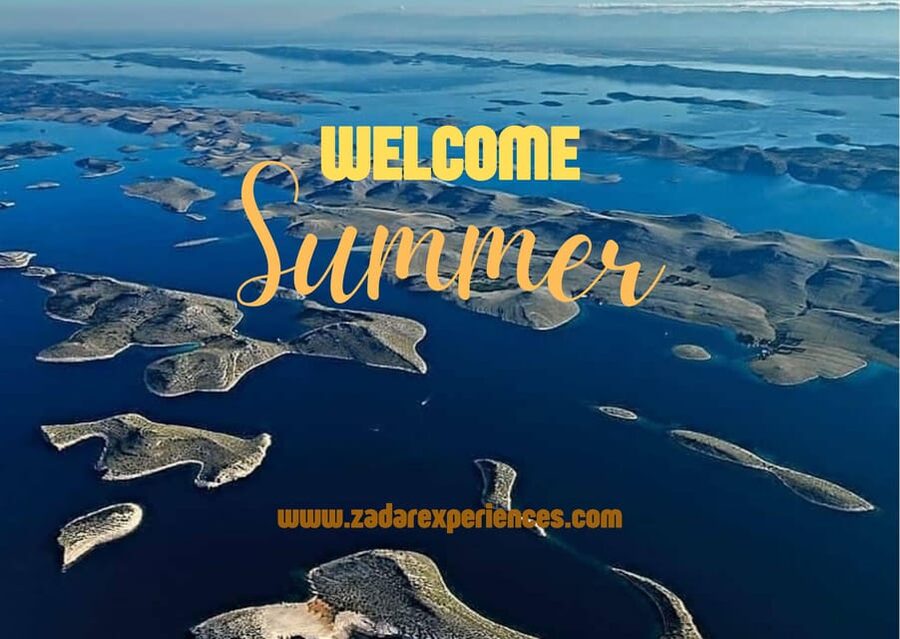 Molat Island Dolphin Watching Boat Tour 6hours TOUR - Speedboat logistics, meeting point, and how the day flows