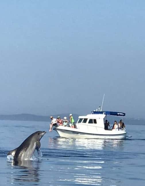 Molat Island Dolphin Watching Boat Tour 6hours TOUR - What to pack for a six-hour speedboat and island swim