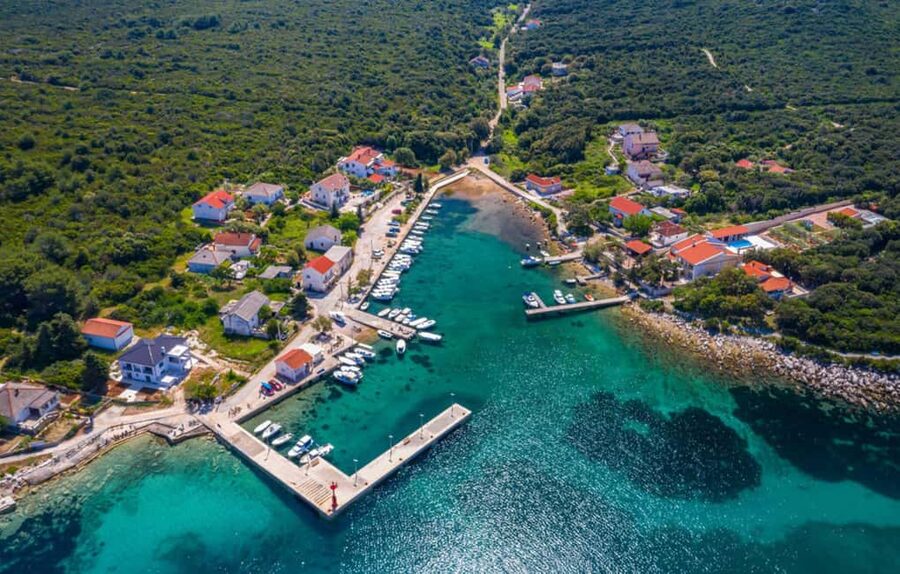 Molat Island Dolphin Watching Boat Tour 6hours TOUR - The real draw, dolphin watching in the Molat reserve area