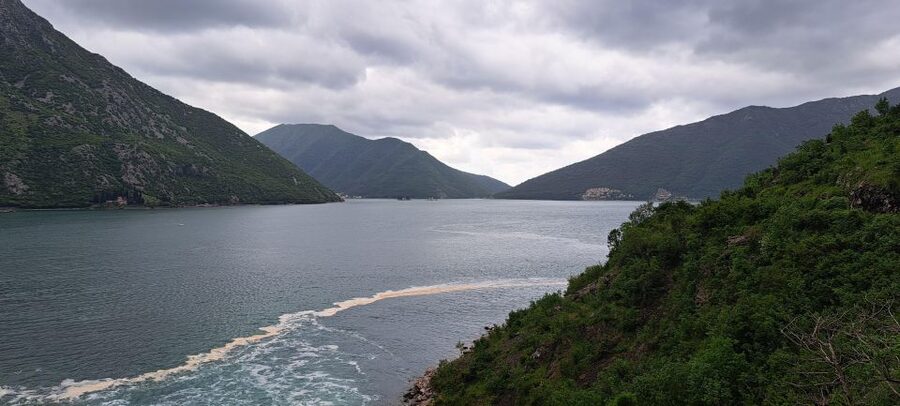 Montenegro: Perast & Kotor - Day Trip from Dubrovnik - Key things to know before you go