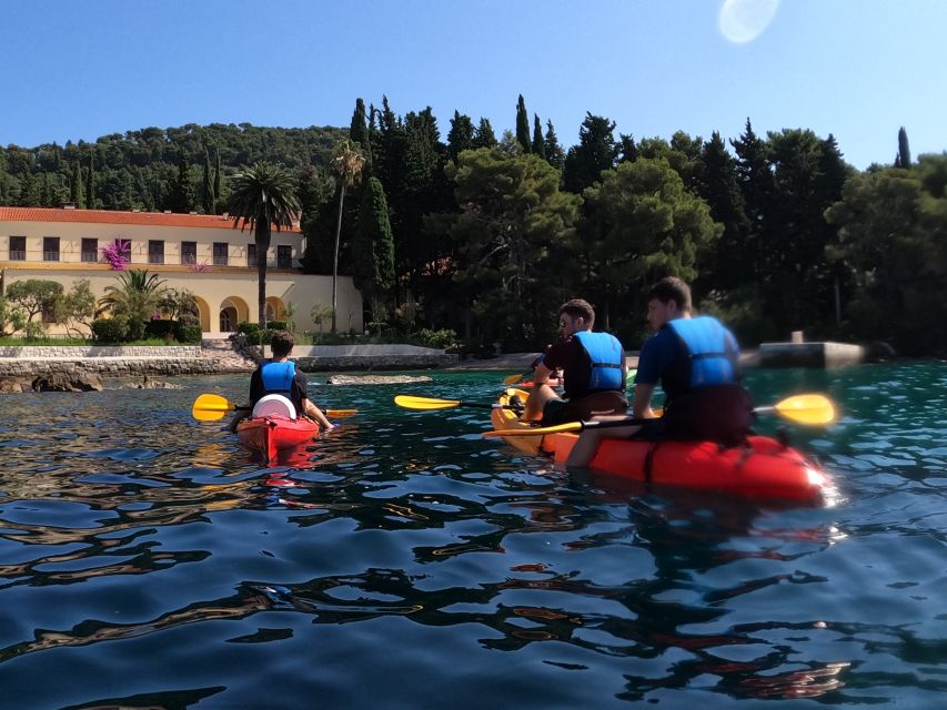 Morning Split Sea Kayaking Tour - Guides are the secret ingredient, from Marin to Jay to Sven and Philip