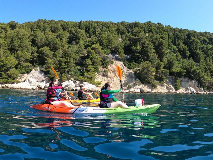 Morning Split Sea Kayaking Tour - Price and value: is $58 for 3 hours actually fair?