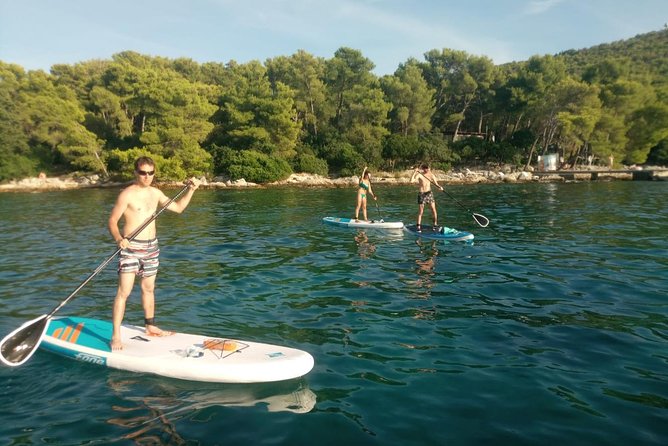 Morning Stand Up Paddle Tour in Split - Price and value: is $58 worth a 3-hour SUP with snorkeling?