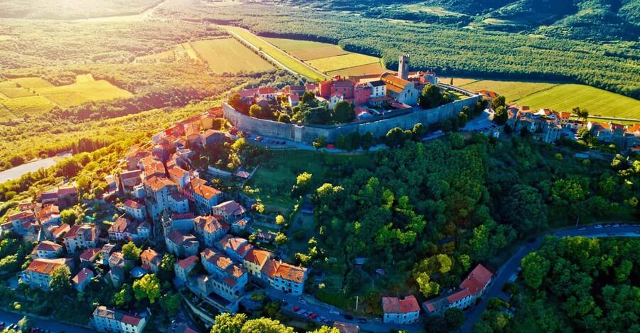 Motovun: The trail of Giants hiking tour & Fritule Tasting - Key highlights at a glance