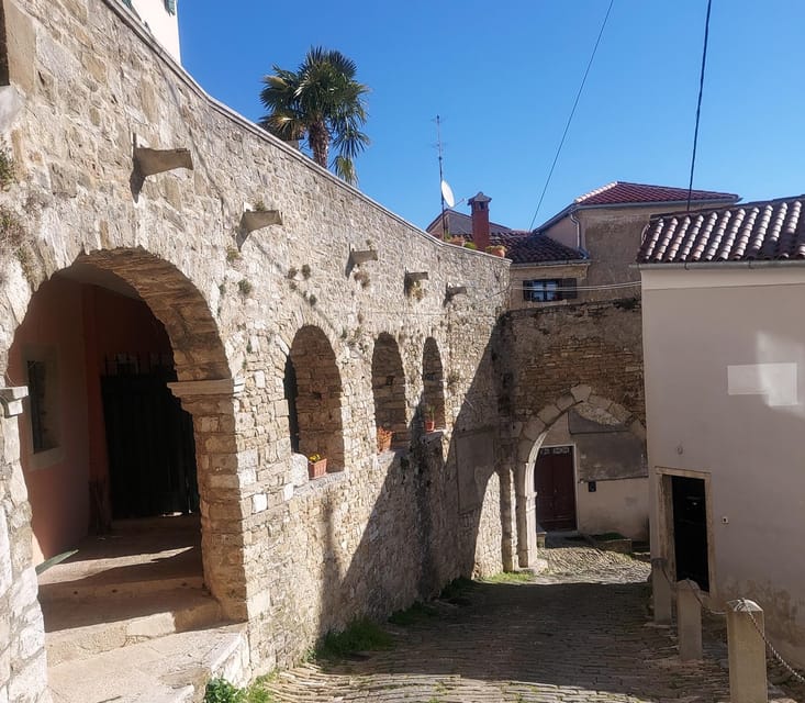 Motovun: The trail of Giants hiking tour & Fritule Tasting - Tickets, shoes, and logistics that actually matter on this hike