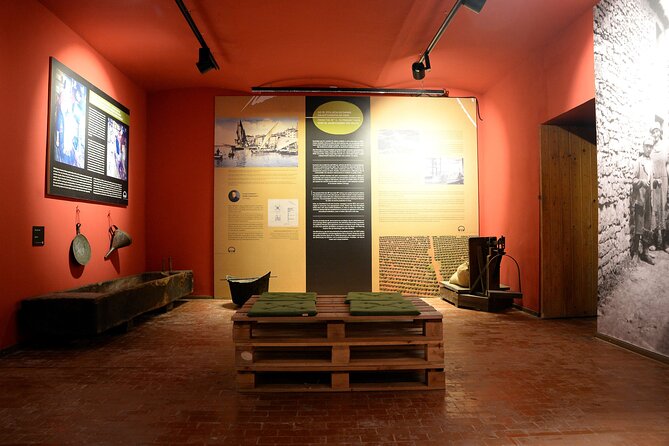 Olive Oil Guided Tasting and History in Pula - The guided sensory tasting that actually teaches you something