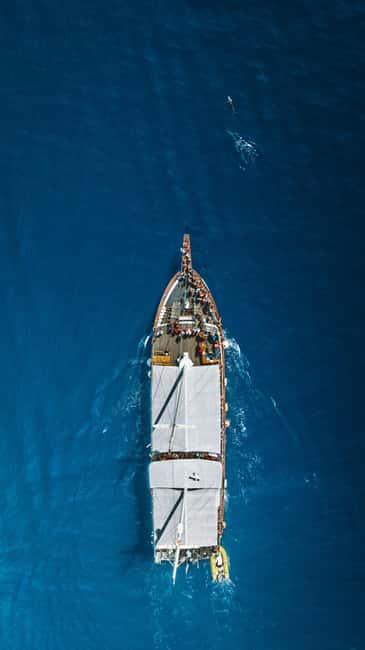 Pag Island: Excursion Bay cruise - Festini - Food and Drinks on Board: Real Value at Sea