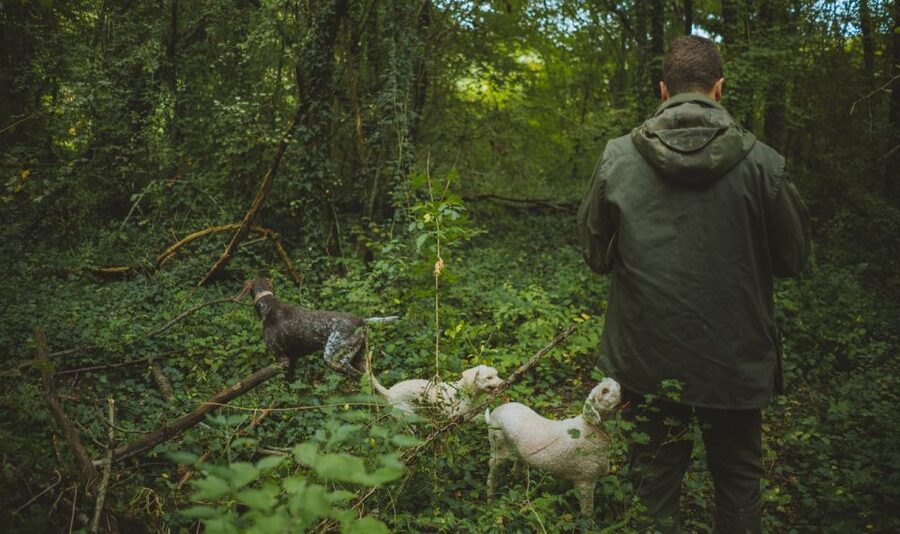 Paladini: Truffle Hunting Tour with 3-Course Tasting Menu - Who this tour suits best (and who might want to choose something else)