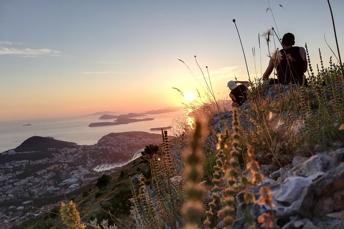 Panorama Dubrovnik & Ombla River PRIVATE Tour - Should you book the Panorama Dubrovnik & Ombla River PRIVATE Tour?