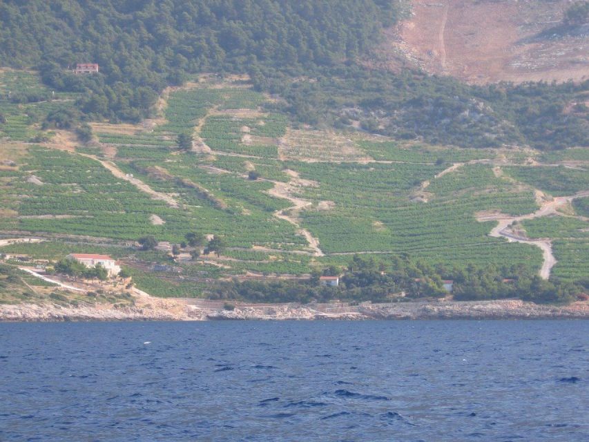 Peljesac Peninsula & Korcula Island Day-Trip from Dubrovnik - Who should book this Pelješac and Korčula day trip