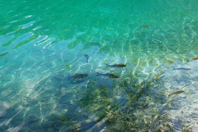 Plitvice Lakes Day Tour from Zadar, Simple and Safe - Morning schedule with pickup through return to Zadar