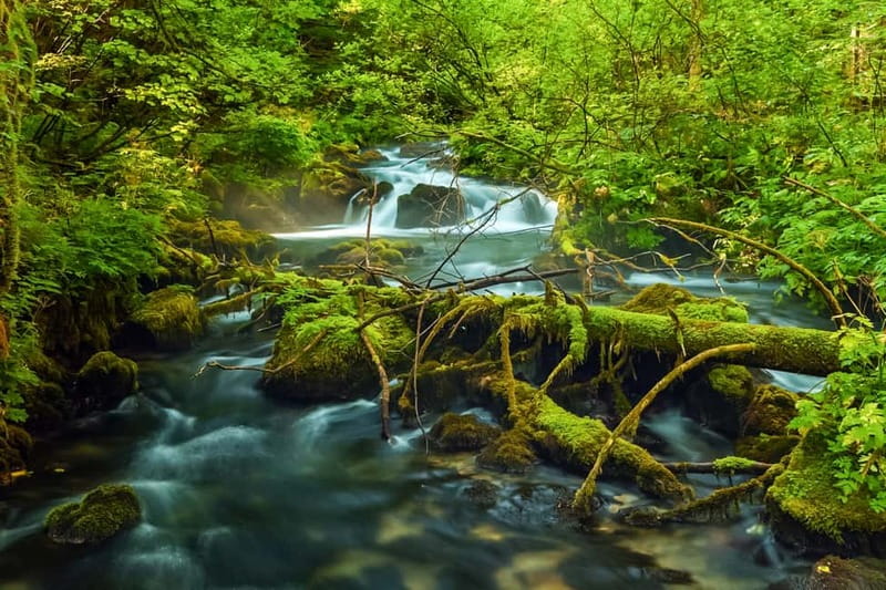 Plitvice Lakes: Guided Walking Tour with Bus and Boat Ride - First steps at Plitvice: where the tour starts and how the day flows
