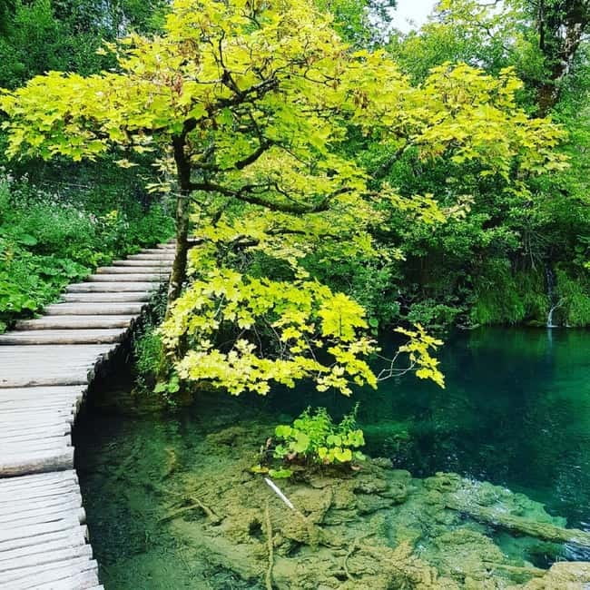Plitvice Lakes National Park: Walking, Boat, and Train Tour - Key things you’ll notice on this Plitvice tour