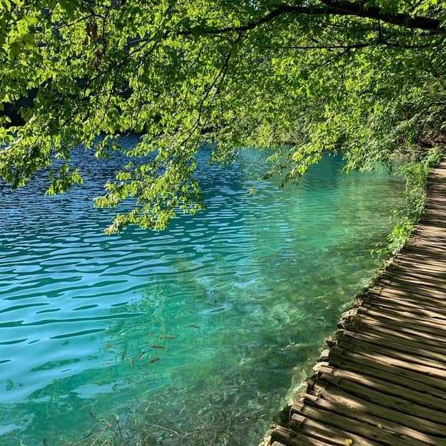 Plitvice Lakes National Park: Walking, Boat, and Train Tour - Weather, pace, and the 10,000-step promise