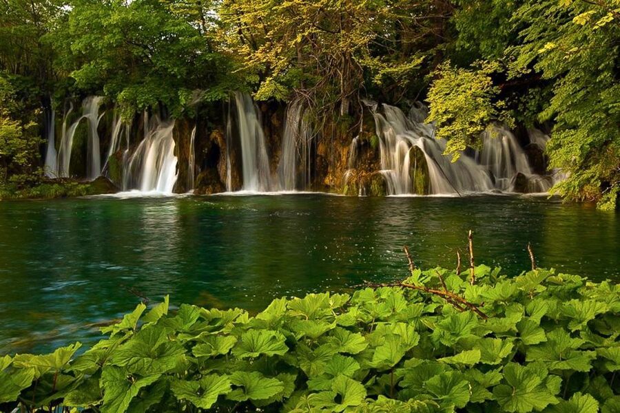 Plitvice Lakes Private Guided Tour - A smooth start at the National Park Cafeteria