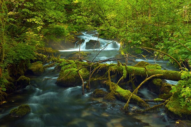 Plitvice Lakes Private Guided Walking Tour - Why Plitvice Feels Different With a Private Guide