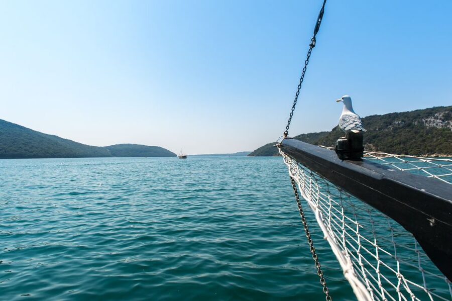 Poreč: Boat Day Trip to Rovinj with or without Fish Lunch - Should you book the Poreč to Rovinj boat day trip?