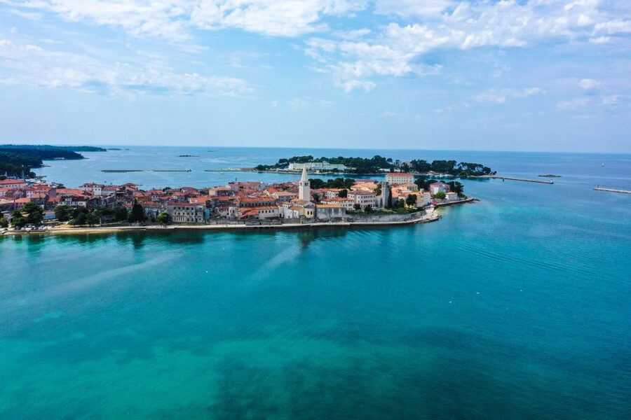 Poreč: Dolphin Spotting Cruise with Included Drinks - What to bring, and how to make dolphin spotting easier