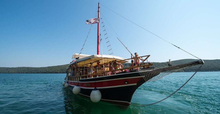 Poreč: Evening Boat Trip to Discover Dolphins - The Dolphin Hunt: What to Watch For Once You’re at Sea