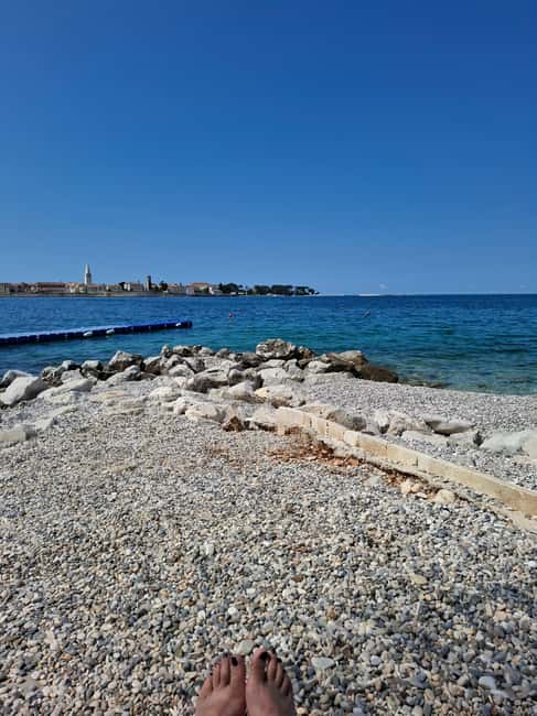 Poreč: Sunset Cruise with Dinner and cocktail - Dolphins in the wild: how spotting works (and why it matters)
