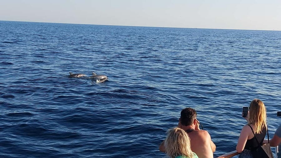 Poreč: Sunset Dolphin Safari with Dinner and Drinks - Setting Sail From Port Poreč, Aboard the Ship Manon