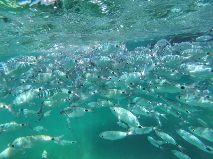 Port Bunarina: Scenic Boat Trip with Lunch & Swimming - Price and value: what $96 really covers