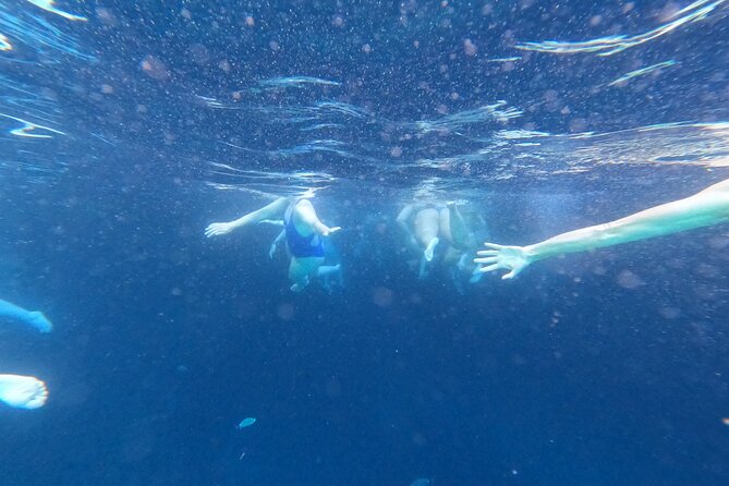 Private Blue Cave and Elaphiti Islands Half Day Tour - Kolocep Island Stop: Swim Time and Island Views That Feel Unhurried