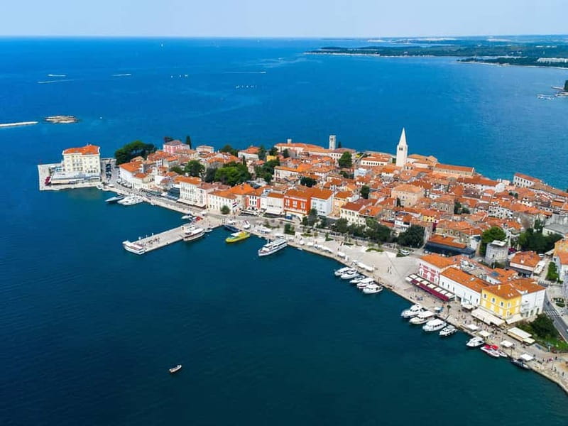 Private boat trips in Porec: dolphin watching, panoramic tour - Key points before you go