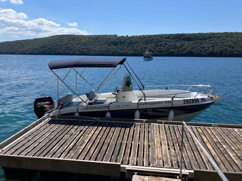 Private boat trips in Porec: dolphin watching, panoramic tour - Timing matters: how sunrise and sunset change the vibe on the water