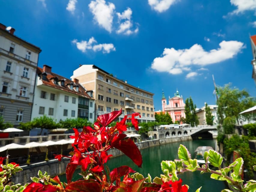 Private Day Trip: Zagreb to Ljubljana & Lake Bled - Lunch and lake views: how to eat without losing the magic
