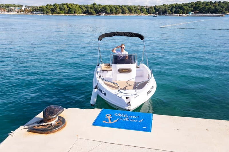 Private Family Dolphin Tour in Poreč - Key things I’d watch for