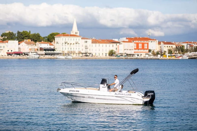 Private Family Dolphin Tour in Poreč - Dolphin Spotting in the Wild: Real Behavior Talk, Not Animal Propaganda