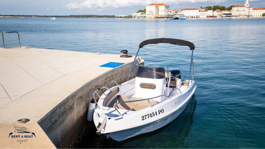Private Family Dolphin Tour in Poreč - Vrsar Panoramas Plus Your Music: The Part Families Remember