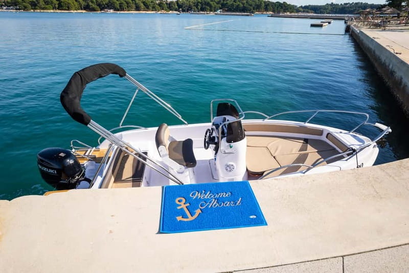 Private Family Dolphin Tour in Poreč - Comfort Details That Actually Help: Drinks, Swims, and Kid-Friendly Pace