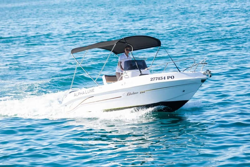 Private Family Dolphin Tour in Poreč - 150 Minutes on the Water: How the Ride is Structured