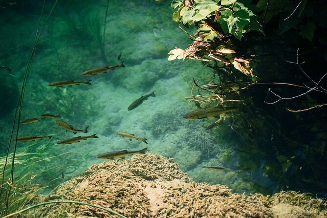 Private Full-Day Krka Waterfalls Tour with Wine Tasting - Meeting in Split, Then Rolling Out Comfortably