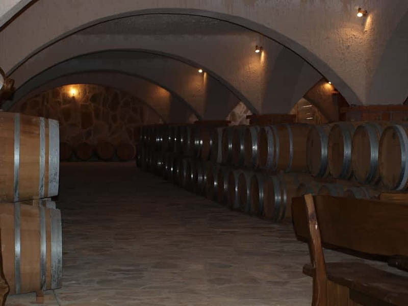 Private Full-Day Wine Tour from Dubrovnik to Peljesac - Key things to know before you go