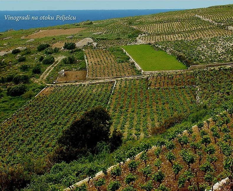 Private Full-Day Wine Tour from Dubrovnik to Peljesac - Peljesac Peninsula, the private ride that makes the day feel easy