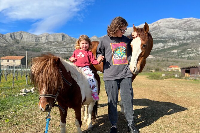 Private Horseback Riding and Family Time in Konavle Region - The Picnic Break: Domestic Drinks and Homemade Snacks