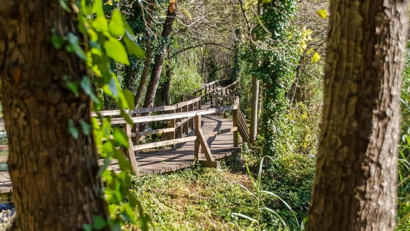 Private Krka National Park & Klis Fortress from Split - Key Points at a Glance